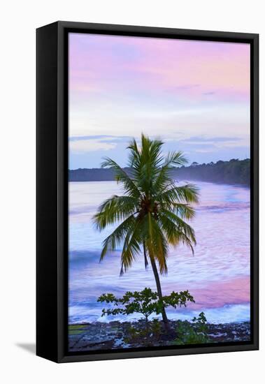 Costa Rica, Cahuita, Cahuita National Park, Lowland Tropical Rainforest, Caribbean Coast, Dawn-John Coletti-Framed Premier Image Canvas