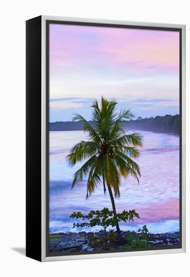 Costa Rica, Cahuita, Cahuita National Park, Lowland Tropical Rainforest, Caribbean Coast, Dawn-John Coletti-Framed Premier Image Canvas