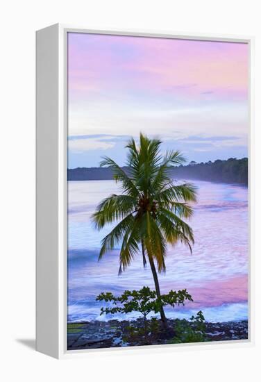 Costa Rica, Cahuita, Cahuita National Park, Lowland Tropical Rainforest, Caribbean Coast, Dawn-John Coletti-Framed Premier Image Canvas