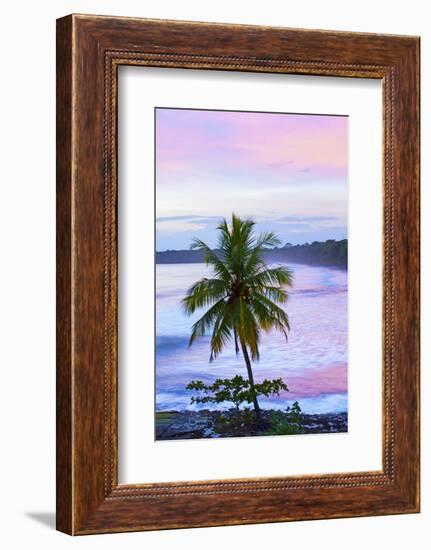 Costa Rica, Cahuita, Cahuita National Park, Lowland Tropical Rainforest, Caribbean Coast, Dawn-John Coletti-Framed Photographic Print