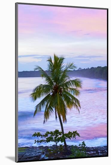 Costa Rica, Cahuita, Cahuita National Park, Lowland Tropical Rainforest, Caribbean Coast, Dawn-John Coletti-Mounted Photographic Print