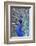 Costa Rica, Central America. India Blue Peacock displaying.-Karen Ann Sullivan-Framed Photographic Print