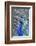 Costa Rica, Central America. India Blue Peacock displaying.-Karen Ann Sullivan-Framed Photographic Print