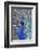 Costa Rica, Central America. India Blue Peacock displaying.-Karen Ann Sullivan-Framed Photographic Print