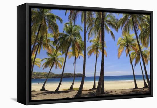 Costa Rica, Guanacaste, Nicoya Peninsula, Nosara, Playa Carillo-Michele Falzone-Framed Premier Image Canvas