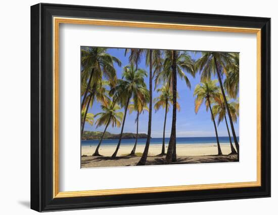 Costa Rica, Guanacaste, Nicoya Peninsula, Nosara, Playa Carillo-Michele Falzone-Framed Photographic Print