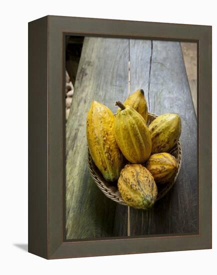 Costa Rica, La Virgen De Sarapiqui, Picked Cocoa Pods Used for Demonstration on How to Make Chocola-John Coletti-Framed Premier Image Canvas