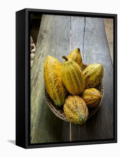 Costa Rica, La Virgen De Sarapiqui, Picked Cocoa Pods Used for Demonstration on How to Make Chocola-John Coletti-Framed Premier Image Canvas