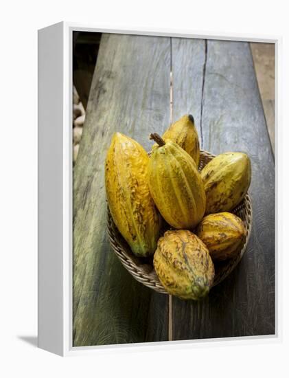 Costa Rica, La Virgen De Sarapiqui, Picked Cocoa Pods Used for Demonstration on How to Make Chocola-John Coletti-Framed Premier Image Canvas