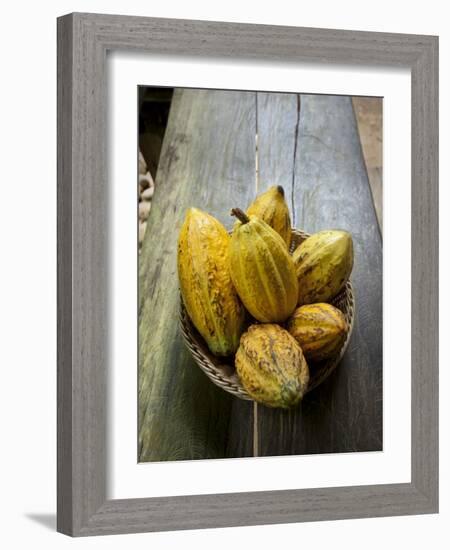 Costa Rica, La Virgen De Sarapiqui, Picked Cocoa Pods Used for Demonstration on How to Make Chocola-John Coletti-Framed Photographic Print