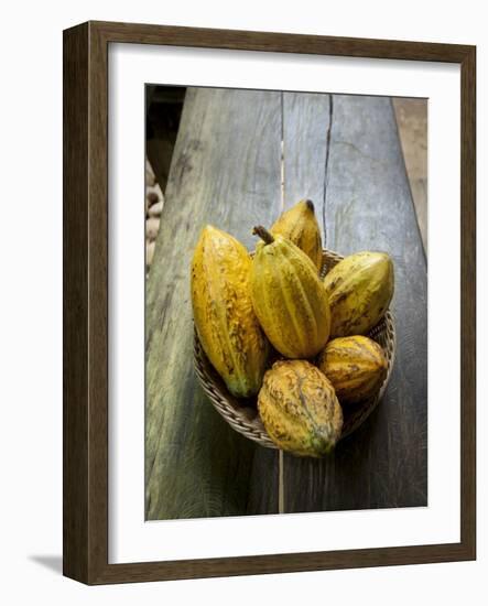 Costa Rica, La Virgen De Sarapiqui, Picked Cocoa Pods Used for Demonstration on How to Make Chocola-John Coletti-Framed Photographic Print