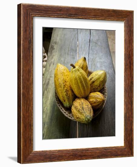 Costa Rica, La Virgen De Sarapiqui, Picked Cocoa Pods Used for Demonstration on How to Make Chocola-John Coletti-Framed Photographic Print