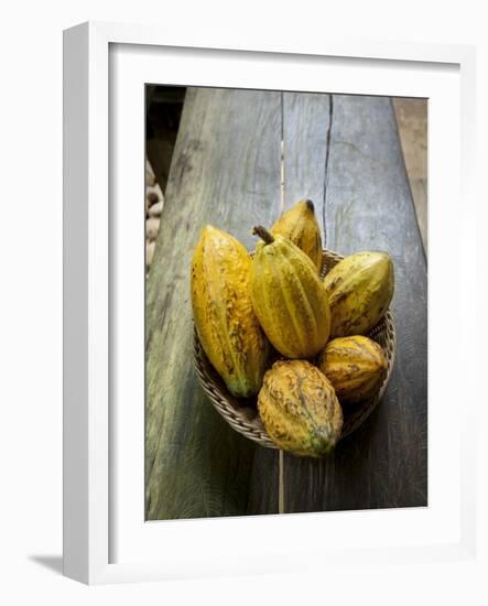 Costa Rica, La Virgen De Sarapiqui, Picked Cocoa Pods Used for Demonstration on How to Make Chocola-John Coletti-Framed Photographic Print