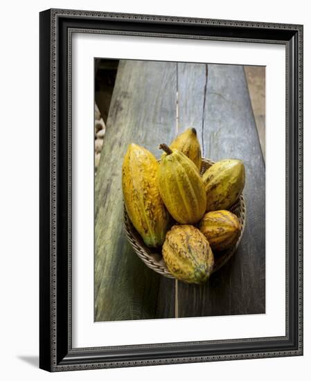Costa Rica, La Virgen De Sarapiqui, Picked Cocoa Pods Used for Demonstration on How to Make Chocola-John Coletti-Framed Photographic Print