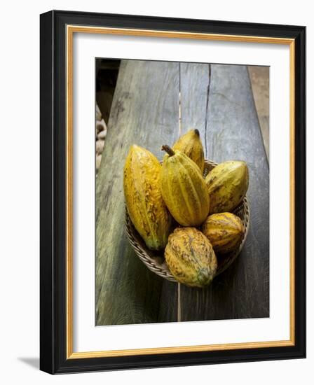 Costa Rica, La Virgen De Sarapiqui, Picked Cocoa Pods Used for Demonstration on How to Make Chocola-John Coletti-Framed Photographic Print