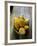 Costa Rica, La Virgen De Sarapiqui, Picked Cocoa Pods Used for Demonstration on How to Make Chocola-John Coletti-Framed Photographic Print