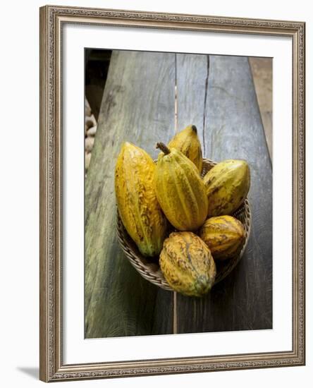 Costa Rica, La Virgen De Sarapiqui, Picked Cocoa Pods Used for Demonstration on How to Make Chocola-John Coletti-Framed Photographic Print