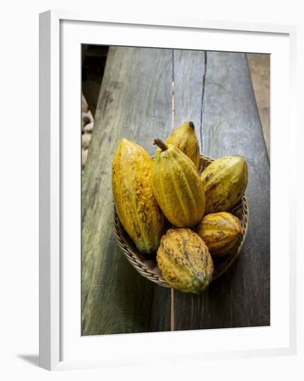 Costa Rica, La Virgen De Sarapiqui, Picked Cocoa Pods Used for Demonstration on How to Make Chocola-John Coletti-Framed Photographic Print