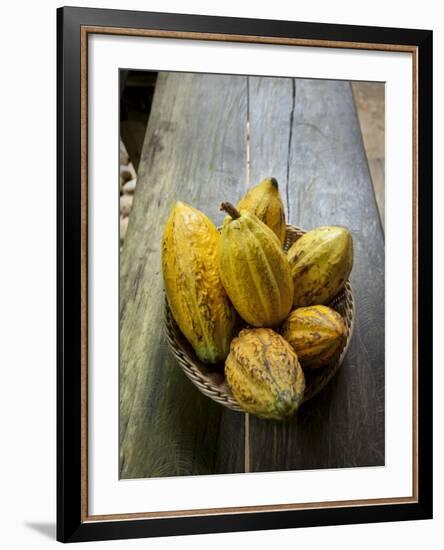 Costa Rica, La Virgen De Sarapiqui, Picked Cocoa Pods Used for Demonstration on How to Make Chocola-John Coletti-Framed Photographic Print