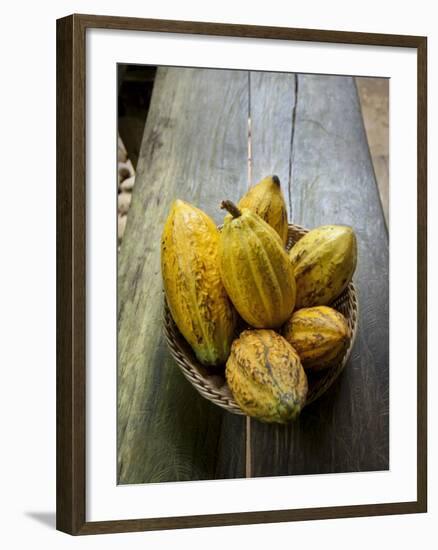 Costa Rica, La Virgen De Sarapiqui, Picked Cocoa Pods Used for Demonstration on How to Make Chocola-John Coletti-Framed Photographic Print