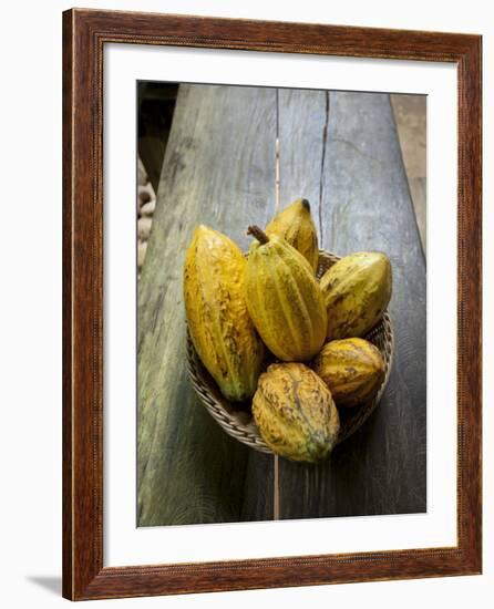 Costa Rica, La Virgen De Sarapiqui, Picked Cocoa Pods Used for Demonstration on How to Make Chocola-John Coletti-Framed Photographic Print