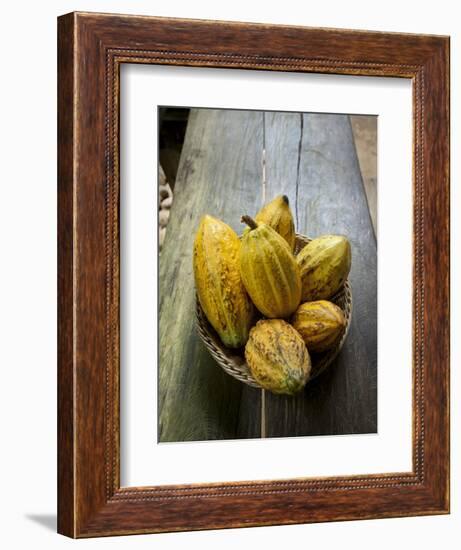 Costa Rica, La Virgen De Sarapiqui, Picked Cocoa Pods Used for Demonstration on How to Make Chocola-John Coletti-Framed Photographic Print