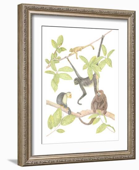 Costa Rica Monkeys-Stacy Hsu-Framed Art Print