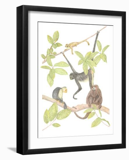Costa Rica Monkeys-Stacy Hsu-Framed Art Print