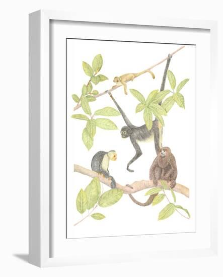 Costa Rica Monkeys-Stacy Hsu-Framed Art Print