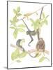 Costa Rica Monkeys-Stacy Hsu-Mounted Art Print
