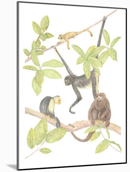 Costa Rica Monkeys-Stacy Hsu-Mounted Art Print