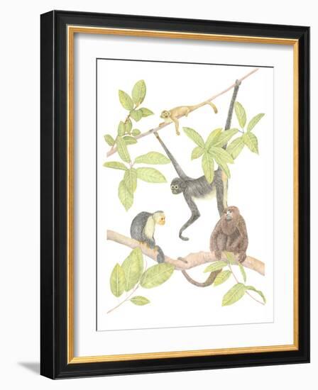 Costa Rica Monkeys-Stacy Hsu-Framed Art Print