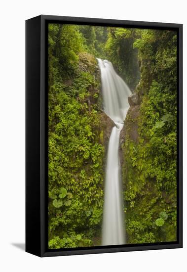 Costa Rica, Monteverde Cloud Forest Biological Reserve. La Paz Waterfall Scenic-Jaynes Gallery-Framed Premier Image Canvas