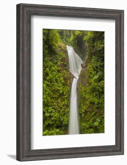 Costa Rica, Monteverde Cloud Forest Biological Reserve. La Paz Waterfall Scenic-Jaynes Gallery-Framed Photographic Print