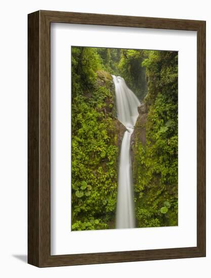 Costa Rica, Monteverde Cloud Forest Biological Reserve. La Paz Waterfall Scenic-Jaynes Gallery-Framed Photographic Print