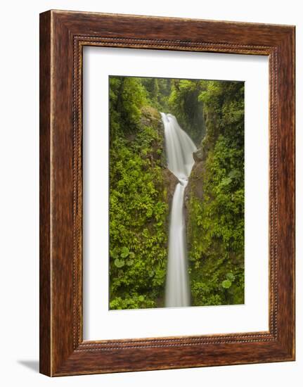 Costa Rica, Monteverde Cloud Forest Biological Reserve. La Paz Waterfall Scenic-Jaynes Gallery-Framed Photographic Print