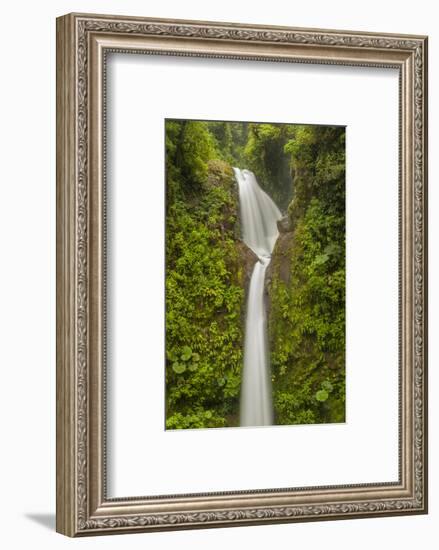 Costa Rica, Monteverde Cloud Forest Biological Reserve. La Paz Waterfall Scenic-Jaynes Gallery-Framed Photographic Print