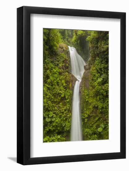 Costa Rica, Monteverde Cloud Forest Biological Reserve. La Paz Waterfall Scenic-Jaynes Gallery-Framed Photographic Print