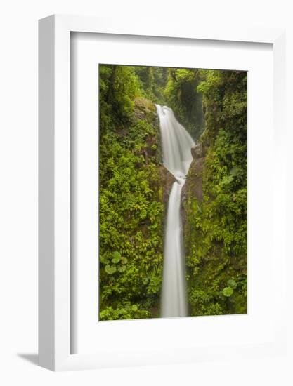 Costa Rica, Monteverde Cloud Forest Biological Reserve. La Paz Waterfall Scenic-Jaynes Gallery-Framed Photographic Print