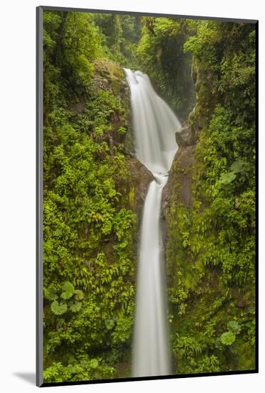Costa Rica, Monteverde Cloud Forest Biological Reserve. La Paz Waterfall Scenic-Jaynes Gallery-Mounted Photographic Print