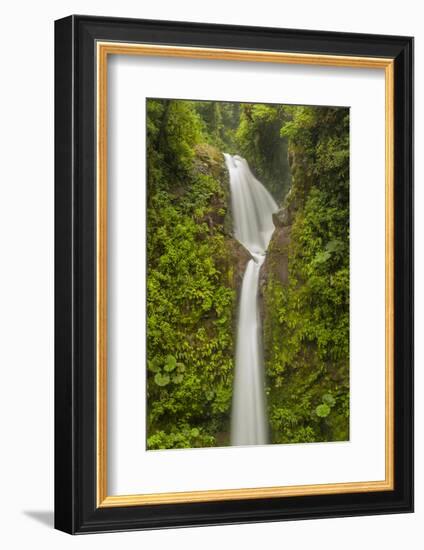 Costa Rica, Monteverde Cloud Forest Biological Reserve. La Paz Waterfall Scenic-Jaynes Gallery-Framed Photographic Print