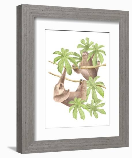 Costa Rica Sloths-Stacy Hsu-Framed Premium Giclee Print