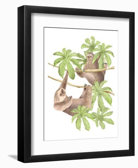 Costa Rica Sloths-Stacy Hsu-Framed Premium Giclee Print