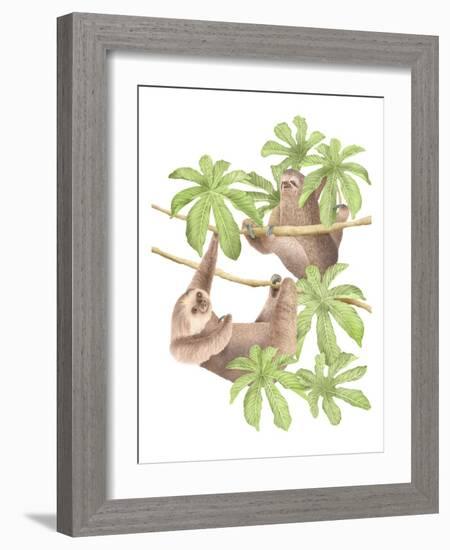 Costa Rica Sloths-Stacy Hsu-Framed Art Print