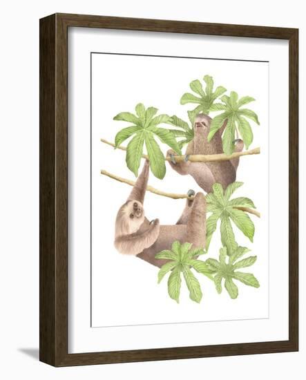 Costa Rica Sloths-Stacy Hsu-Framed Art Print