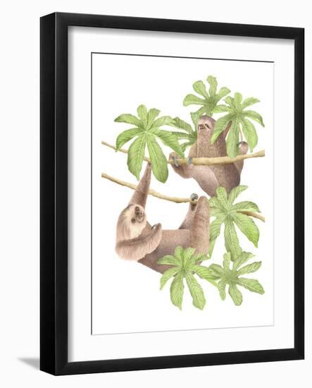 Costa Rica Sloths-Stacy Hsu-Framed Art Print