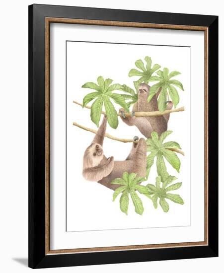 Costa Rica Sloths-Stacy Hsu-Framed Art Print