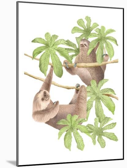 Costa Rica Sloths-Stacy Hsu-Mounted Art Print