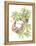 Costa Rica Sloths-Stacy Hsu-Framed Stretched Canvas