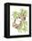 Costa Rica Sloths-Stacy Hsu-Framed Stretched Canvas